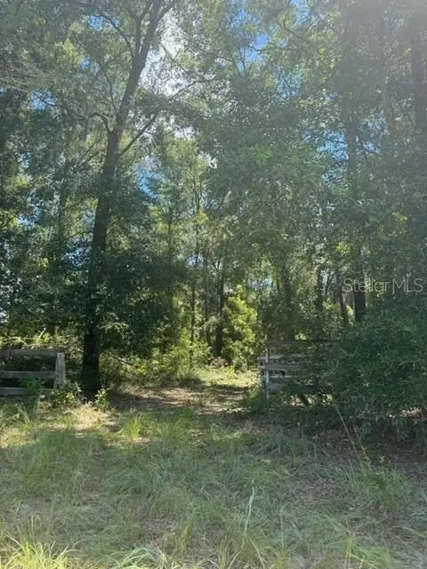 SW COLES CT, Fort White, FL 32038