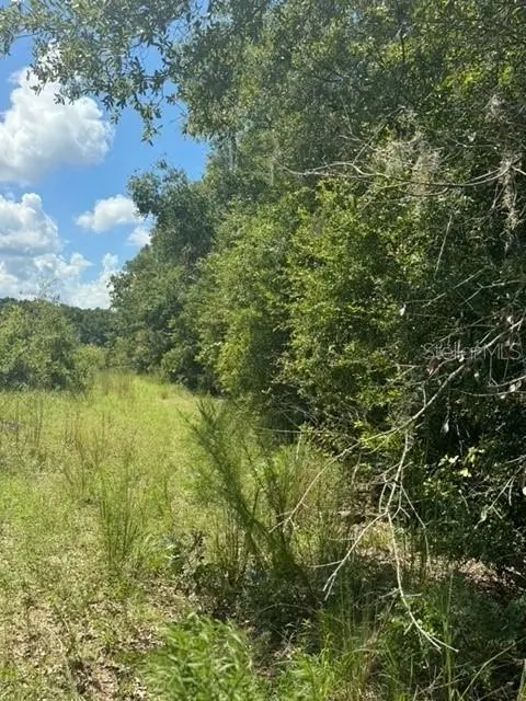 SW COLES CT, Fort White, FL 32038