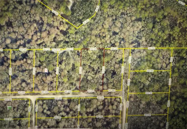 ROSE BLOOM AVE, Webster, FL 33597