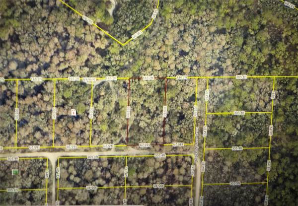 ROSE BLOOM AVE, Webster, FL 33597