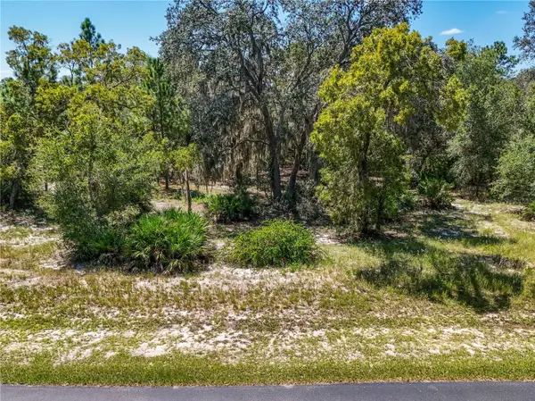 3134 BRIGHT LAKE CIR, Leesburg, FL 34748
