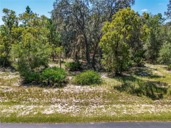 3134 BRIGHT LAKE CIR, Leesburg, FL 34748