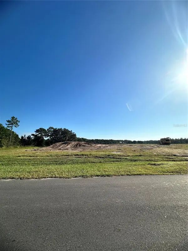38404 WOODED MEADOW DR, Umatilla, FL 32784