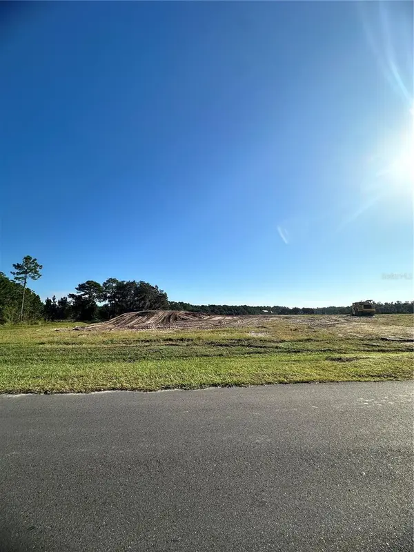 38404 WOODED MEADOW DR, Umatilla, FL 32784