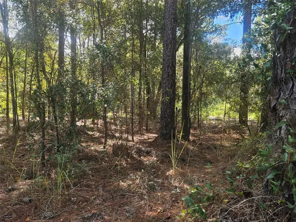 XXXX SW 92ND PL SW, Dunnellon, FL 34432