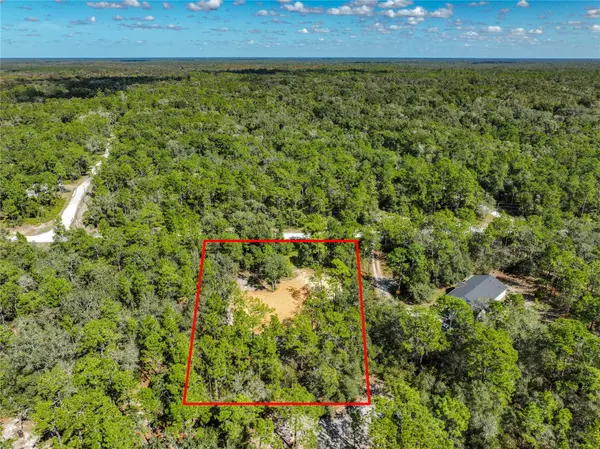 33216 TEAKWOOD DR, Webster, FL 33597