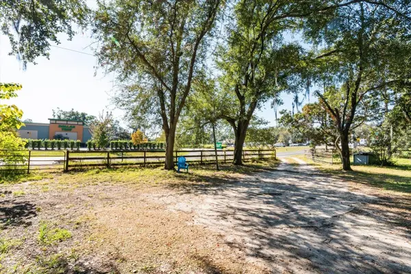 2009 ROBIE AVE, Mount Dora, FL 32757