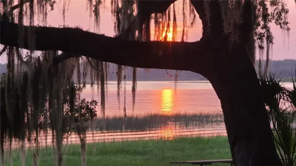 25205 NE 142 ND ST, Salt Springs, FL 32134