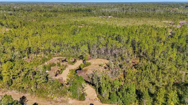 NE 212TH STREET RD, Fort Mc Coy, FL 32134