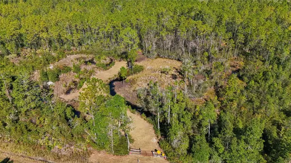 NE 212TH STREET RD, Fort Mc Coy, FL 32134