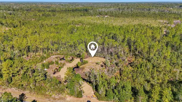 NE 212TH STREET RD, Fort Mc Coy, FL 32134