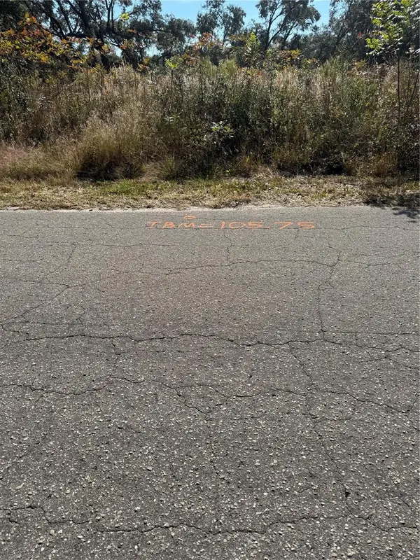 SE 115 PLACE RD, Ocklawaha, FL 32179