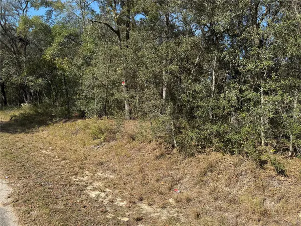 SE 115 PLACE RD, Ocklawaha, FL 32179