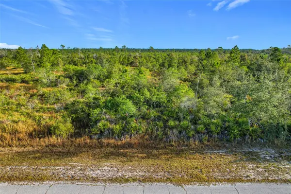 LOT 81 MEADOW LARK BLVD, Lake Wales, FL 33898