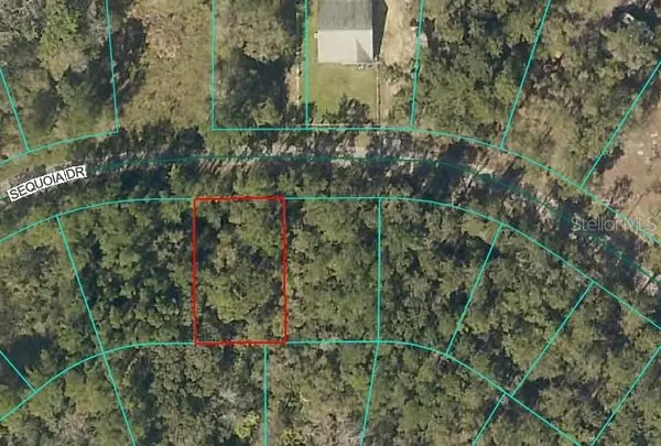 SEQUOIA DR,  Ocklawaha,  FL 32179