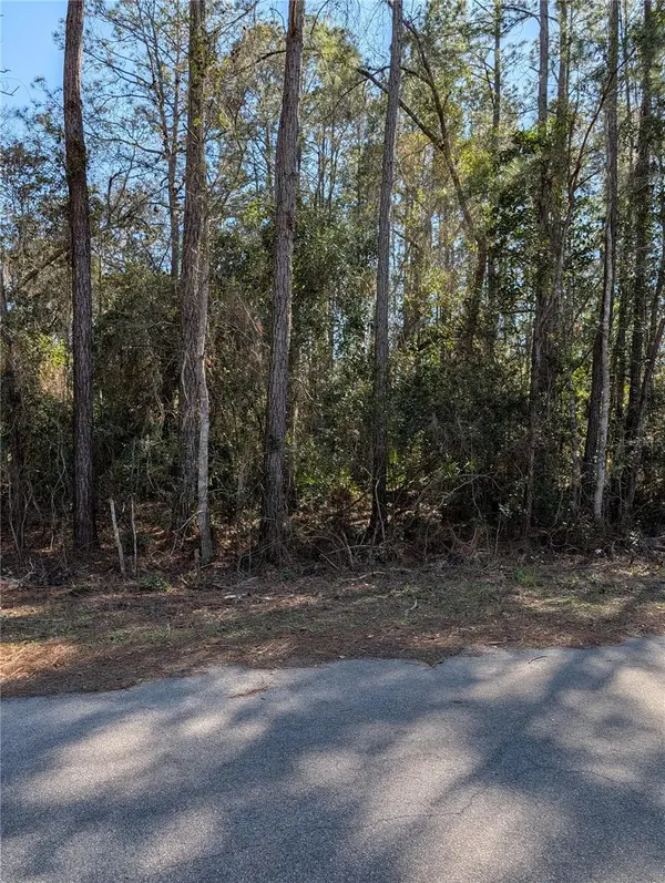 SEQUOIA DR, Ocklawaha, FL 32179