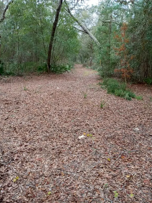 28095 SE HIGHWAY 42, Umatilla, FL 32784