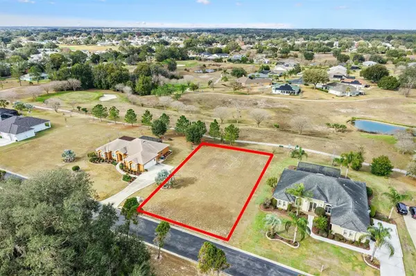 529 DOWLING CIR, Lady Lake, FL 32159