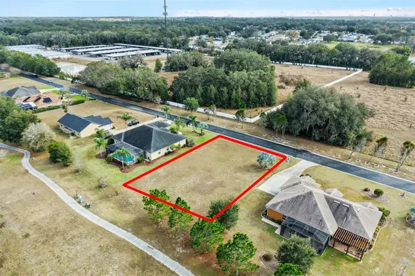 529 DOWLING CIR, Lady Lake, FL 32159