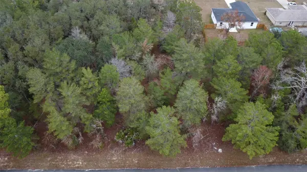 MALAUKA DR, Ocklawaha, FL 32179