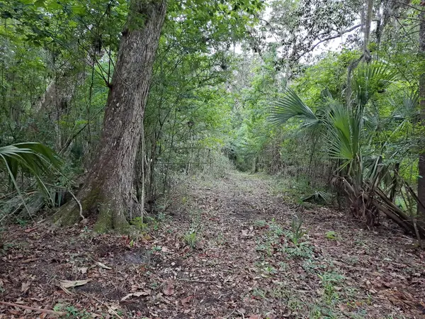 9550 NW 230 ST E, Micanopy, FL 32667