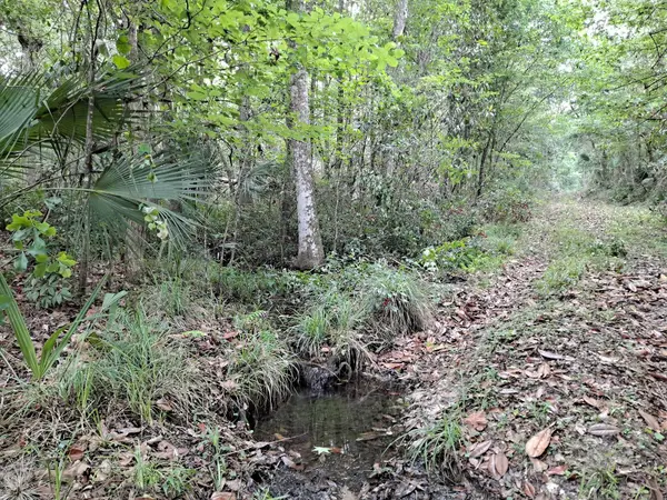 9550 NW 230 ST E, Micanopy, FL 32667