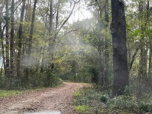 1602A SW WILLISTON RD, Gainesville, FL 32608