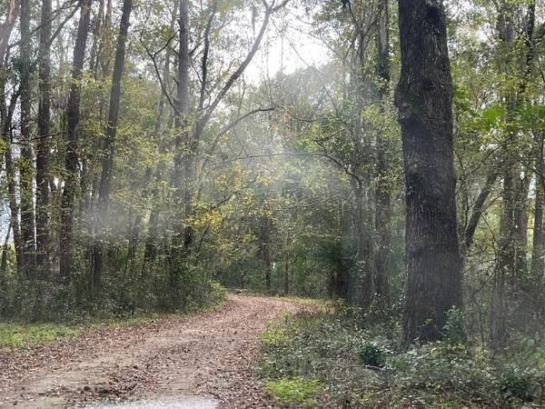 1602A SW WILLISTON RD, Gainesville, FL 32608