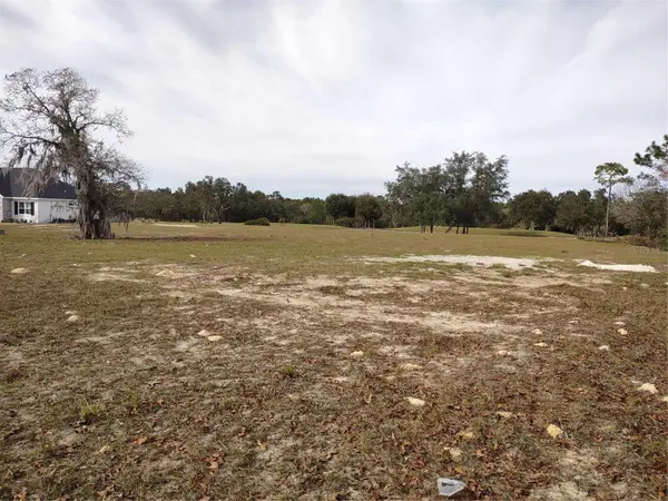 6400 SW 180 CIR #Lot 29, Dunnellon, FL 34432