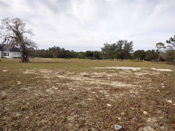 6400 SW 180 CIR #Lot 29, Dunnellon, FL 34432