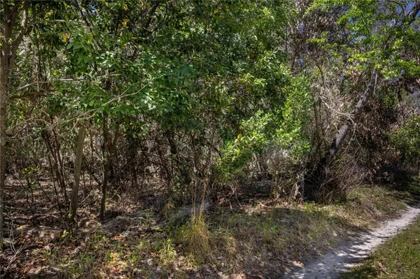 NW 253RD ST, High Springs, FL 32643