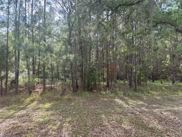 6038 NW 90TH ST, Gainesville, FL 32653