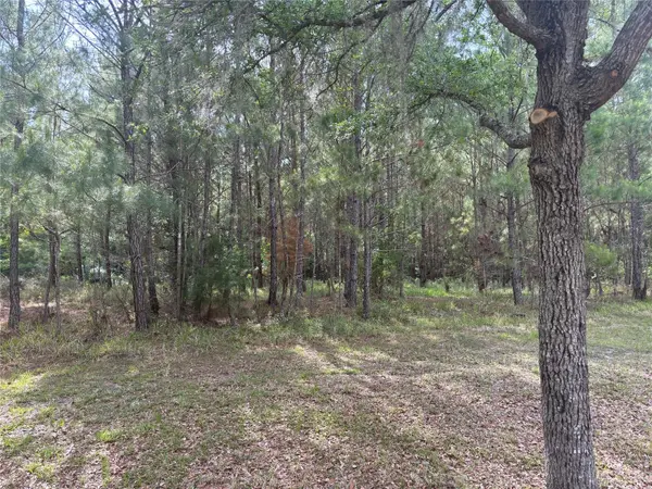 6038 NW 90TH ST, Gainesville, FL 32653