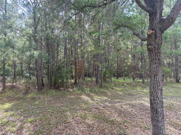 8845 NW 58TH LN, Gainesville, FL 32653