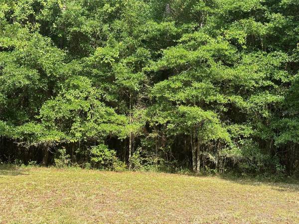 8845 NW 58TH LN, Gainesville, FL 32653