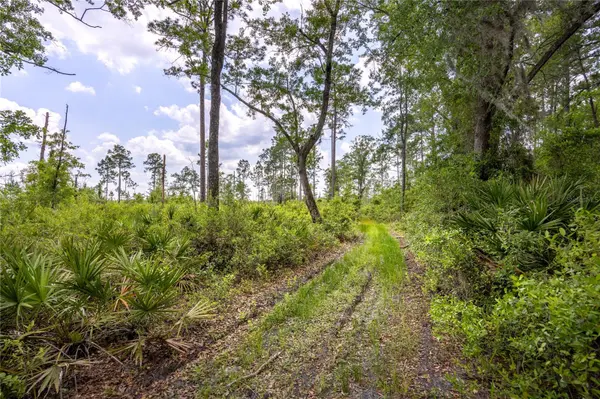 0 COUNTY ROAD 225, Waldo, FL 32694