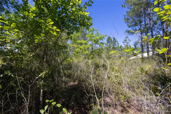 NE 108TH AVE, Waldo, FL 32694