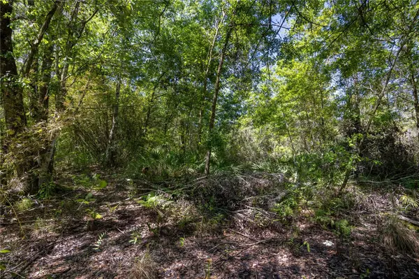 NE 108TH AVE, Waldo, FL 32694
