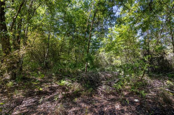 NE 108TH AVE, Waldo, FL 32694