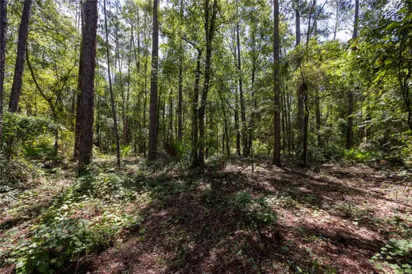 0 SE HAWTHORNE RD, Hawthorne, FL 32640