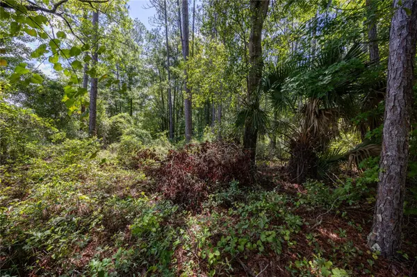 0 SE HAWTHORNE RD, Hawthorne, FL 32640