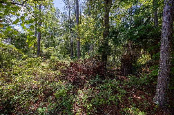0 SE HAWTHORNE RD, Hawthorne, FL 32640