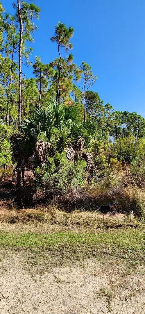 Lot 8 SW 104 ST, Cedar Key, FL 32625