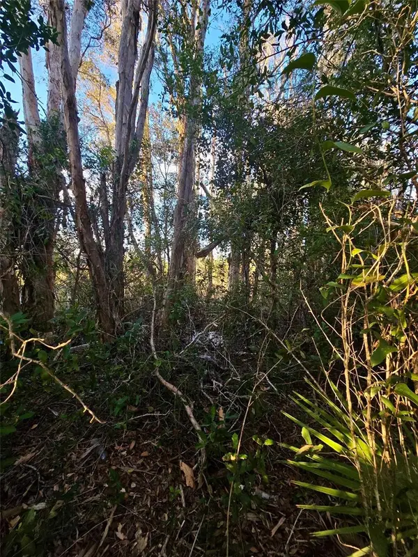 3402 39TH ST SW, Lehigh Acres, FL 33976