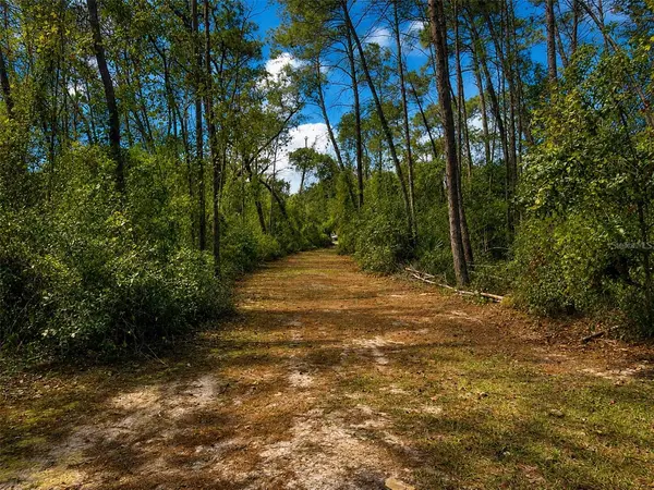0 5TH ST, Altoona, FL 32702
