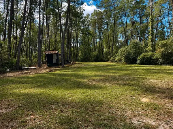 0 5TH ST, Altoona, FL 32702