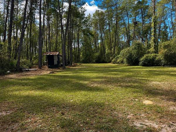 0 5TH ST, Altoona, FL 32702