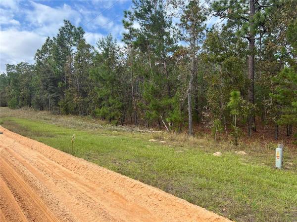 255 MELROSE LANDING DR, Hawthorne, FL 32640