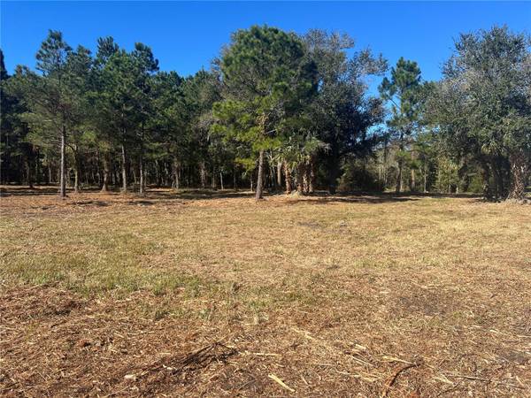 17802 US-301, Waldo, FL 32694