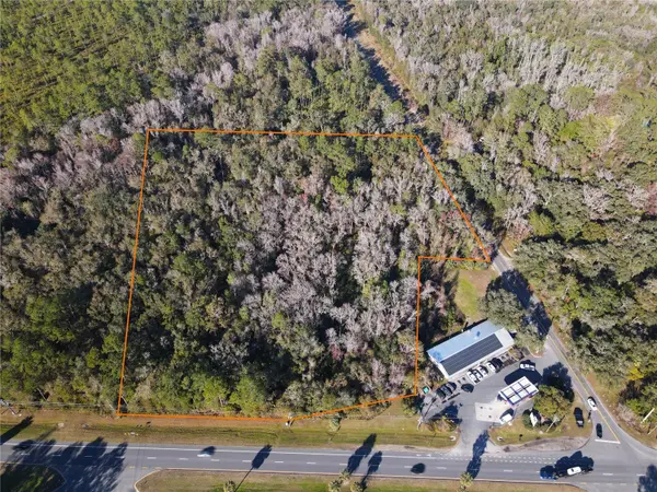 102 NE HIGHWAY 441, Micanopy, FL 32667